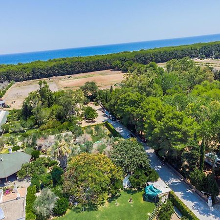Bio Agriturismo Salos Алимини Экстерьер фото