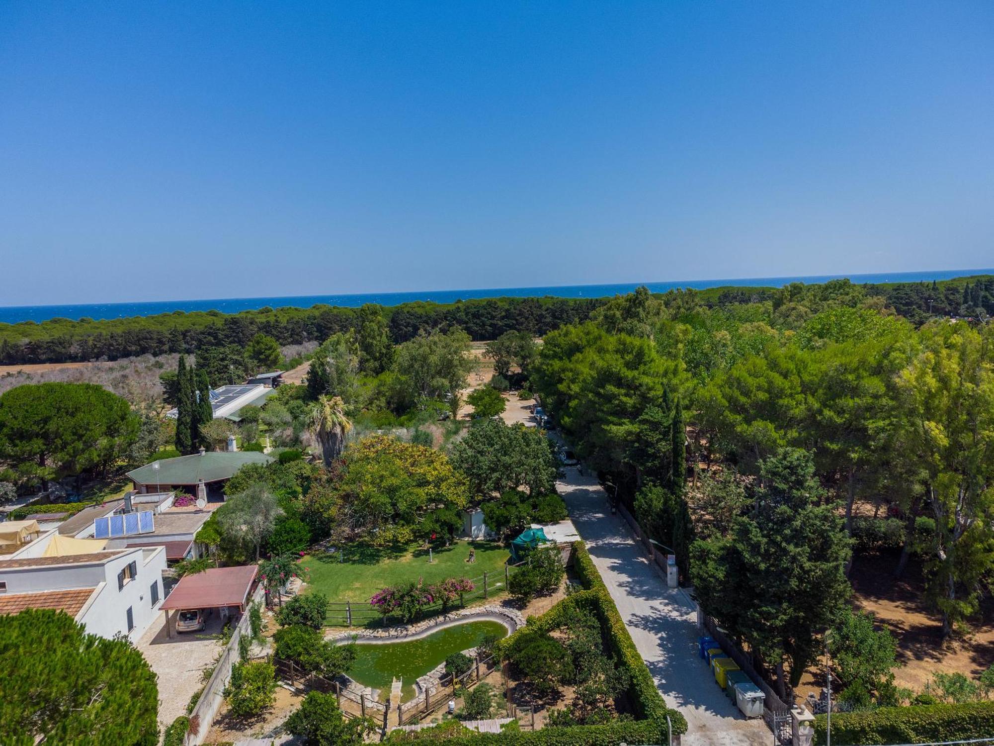 Bio Agriturismo Salos Алимини Экстерьер фото
