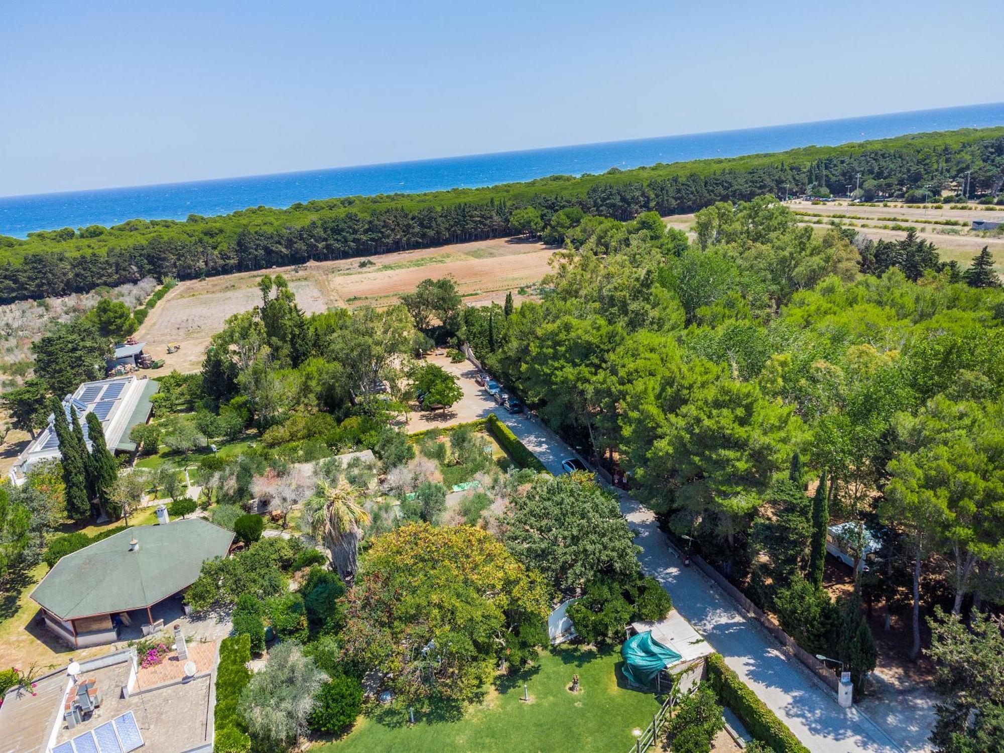 Bio Agriturismo Salos Алимини Экстерьер фото